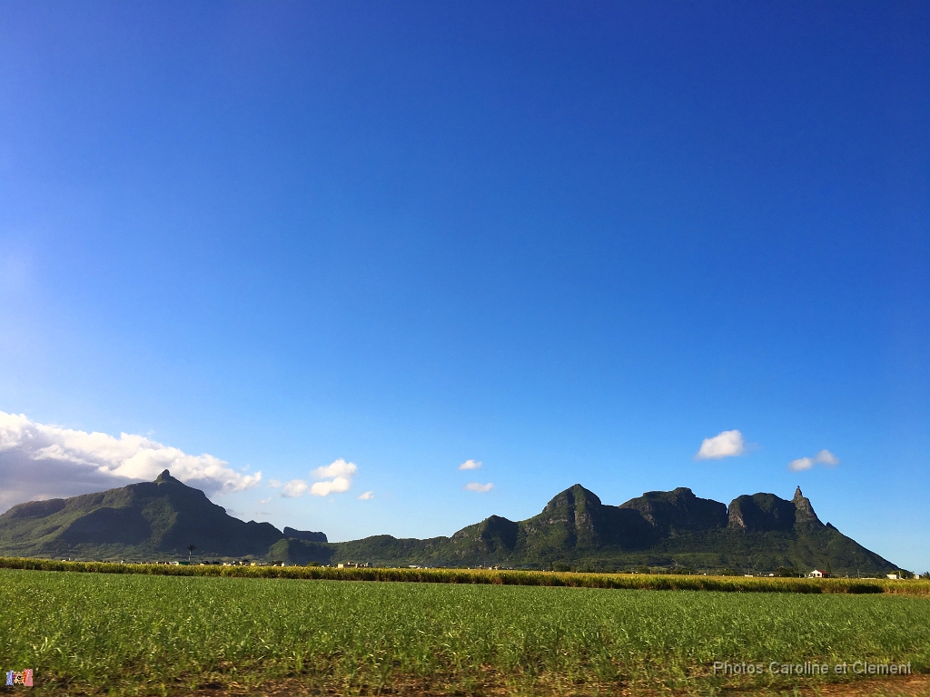 Ile Maurice Novembre 2016 69.jpg - Ile Maurice - Novembre 2016.